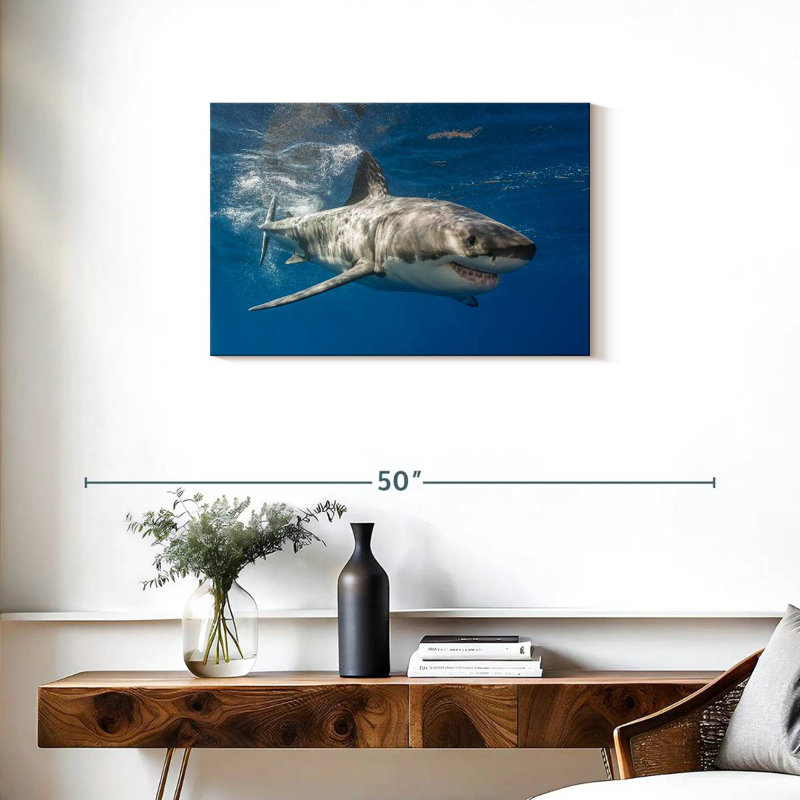 Shark, 20" H x 30" W