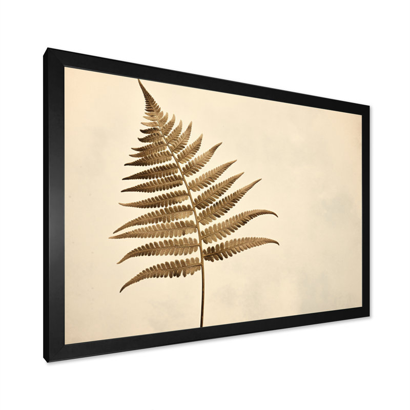 " Beige Ferns Plant Timeless Elegance II ", Cadre simple noir, H 16 po x l 32 po x P 1 po