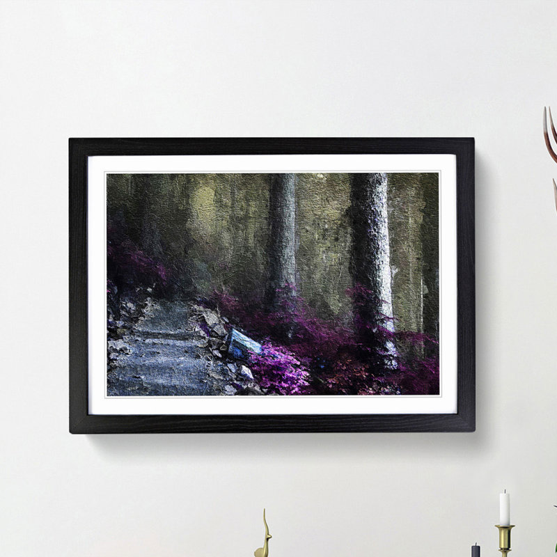 Path Through a Forest in Vancouver - Framed Print, Black Framed, 36cm H x 48cm W x 2cm D