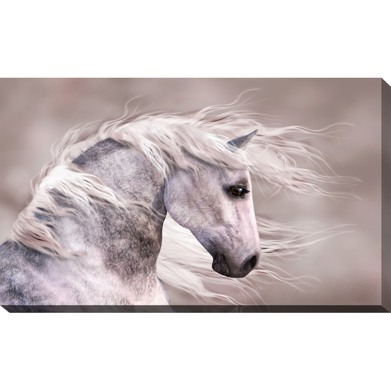 Beauté blanche - reproduction de photo sur toile tendue, H 36 po x l 60 po x P 1,5 po