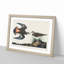Kildeer Plover by John James Audubon - Framed Print-55641247-55641250