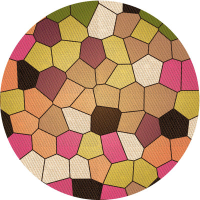 Indoor Rug