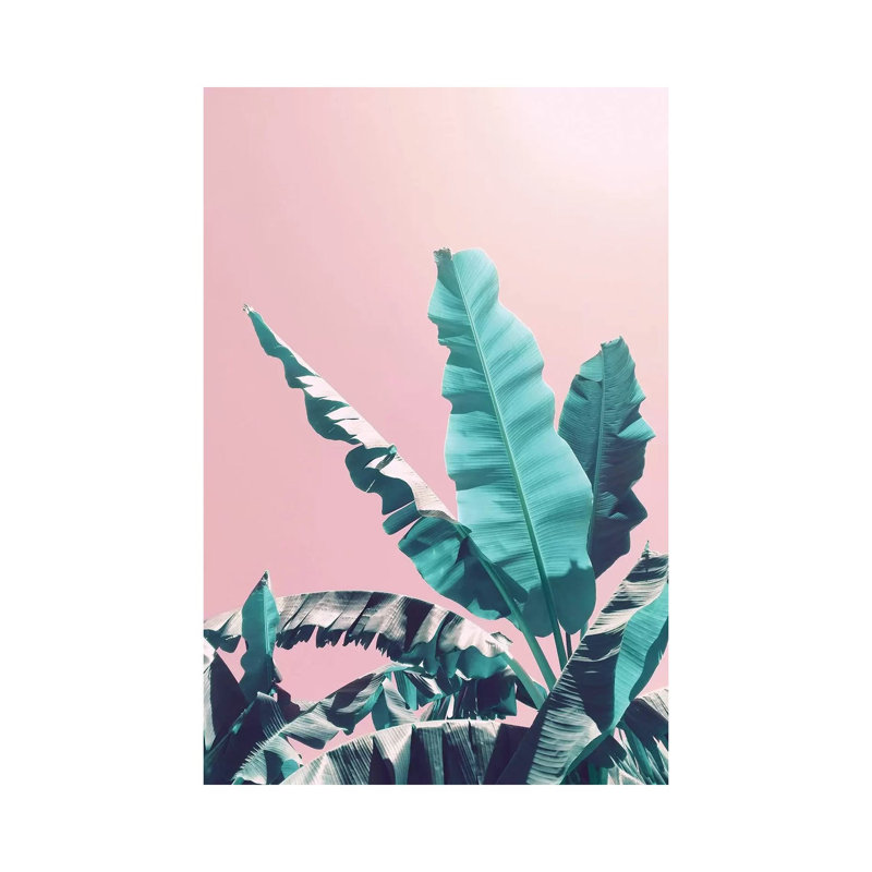 Bananas On Pink by Emanuela Carratoni - Wrapped Canvas Print, 30.48cm H x 20.32cm W