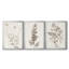 Neutral Botanical Study IV - Ensemble de 3 impressions sur toile encadrées-1770476219-1770476218