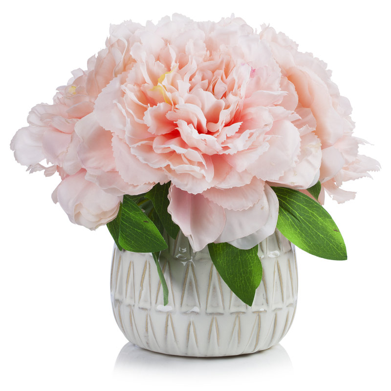 Arrangements floraux d'hortensias en pot, Rose