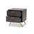 Caden Sheldon Dark Grey And Gold Finished Wood 2-Drawer Nightstand