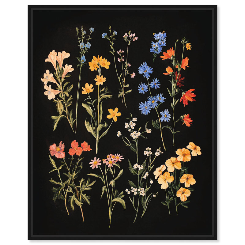 «Darkling Daisies II Dark Elegant Florals» par Art Remedy, H 21 po x l 17 po, Structure noire