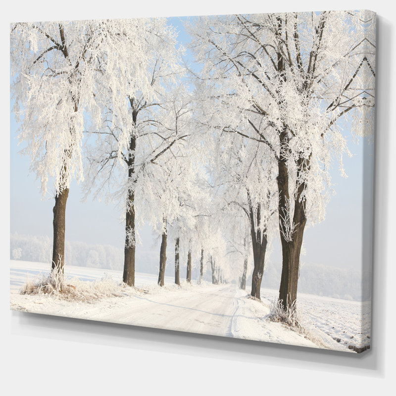 «Winter Lane on Sunny Morning», reproduction de photo sur toile tendue, H 20 po x l 20 po x P 1 po