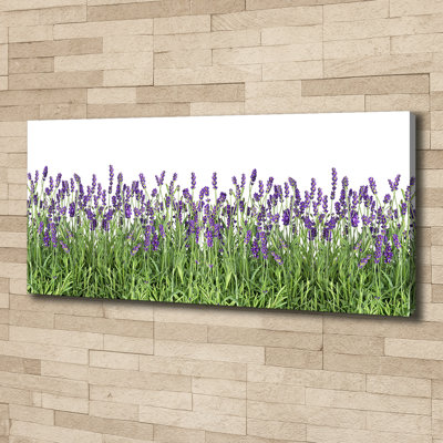 Lavender Flowers - Wrapped Canvas Print