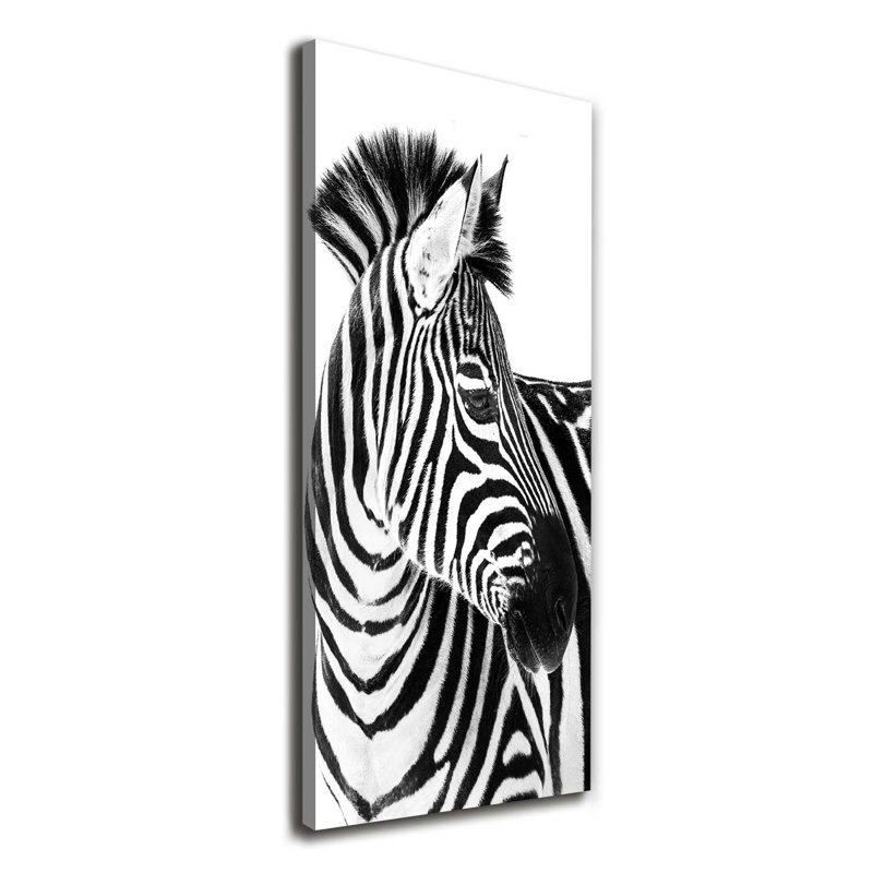 Zebra In The Snow - Wrapped Canvas Print