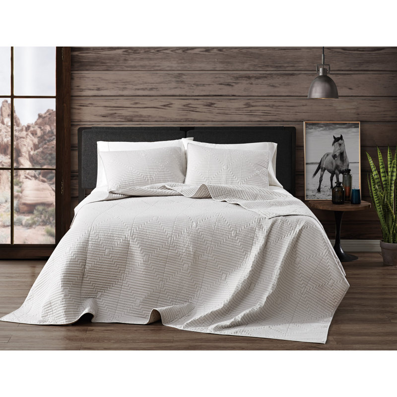Ensemble de courtepointe FRYE, Courtepointe double / grand et 2 taies décorative, gris
