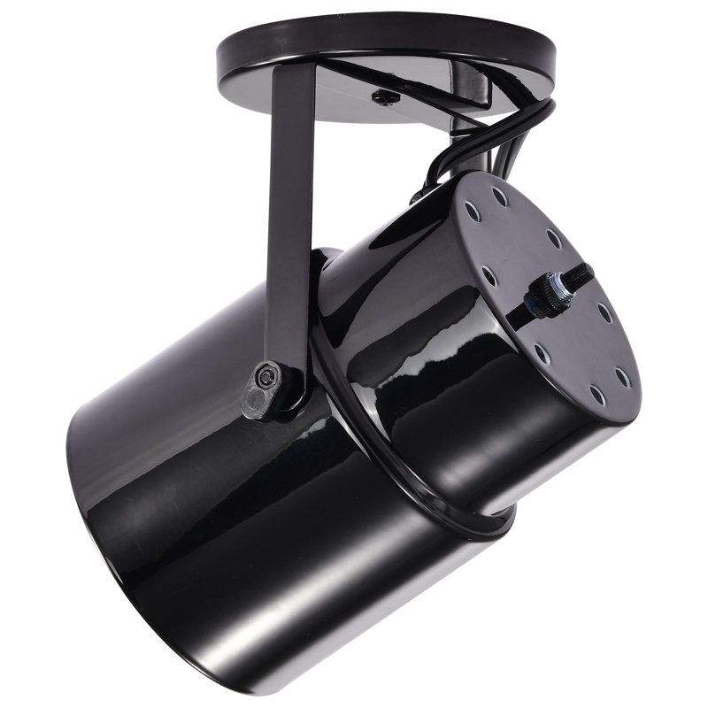 1 - Light Spotlight, Black/Steel