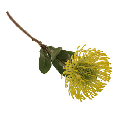 Banksia Arrangement