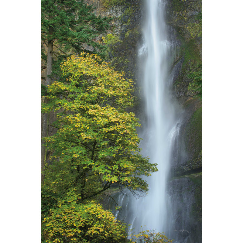 Multnomah Falls - couleur, H 36 po x l 24 po