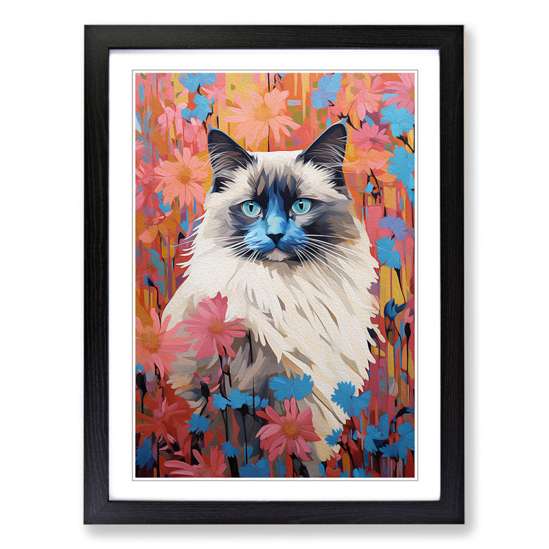 XYZ-FRM-V1223-5362 Ragdoll Cat Colour Field No.4 - Single Picture Frame Print on Wood, Black, 34cm H x 25cm W x 2cm D