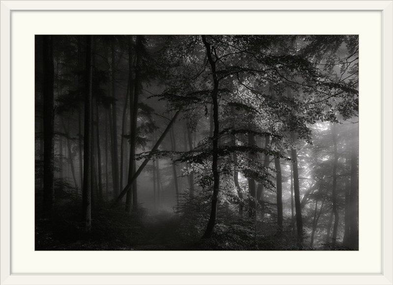 «Straub Morning Light» par Norbert Maier - reproduction de photo, H 24 po x l 32 po x P 1 po, Cadre blanc