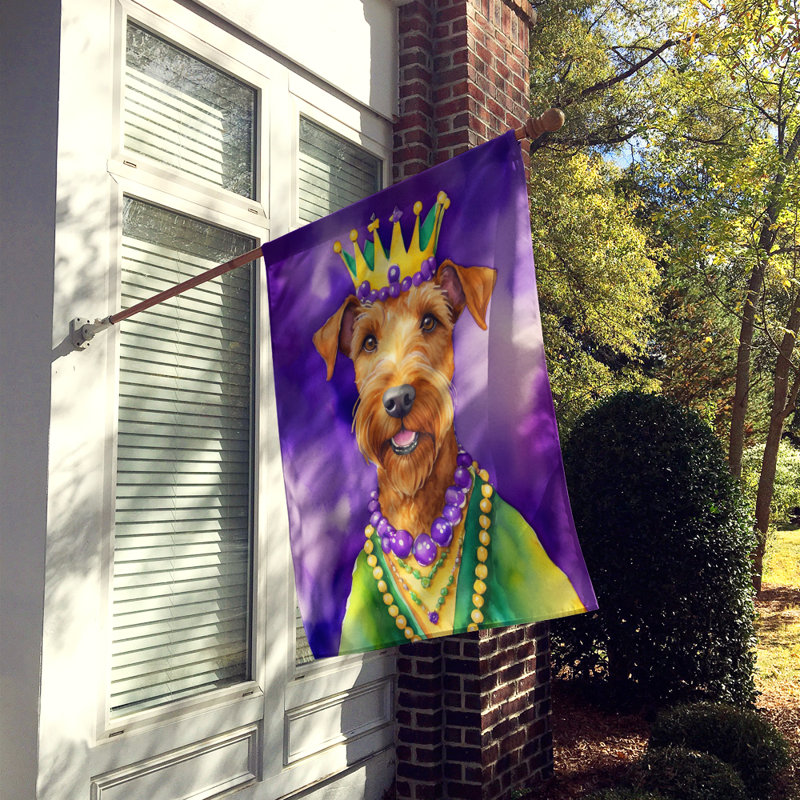 Double Sided 40'' H x 28'' W Polyester Mardi Gras House Flag