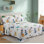 Ensemble de draps en coton à motif de dinosaures pour animaux de compagnie 4 pièces Marina