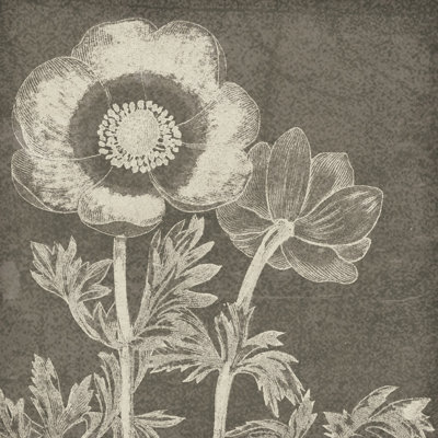 Craie de beauté botanique II