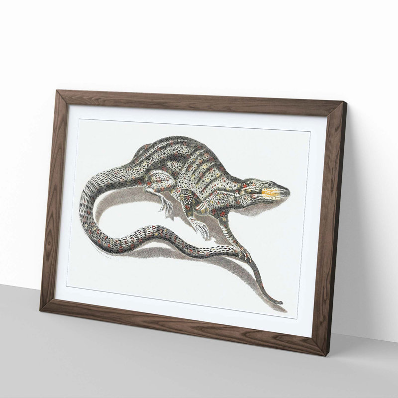 A Lizard by Johan Teyler - Framed Print, Walnut, 40cm H x 60cm W x 2cm D