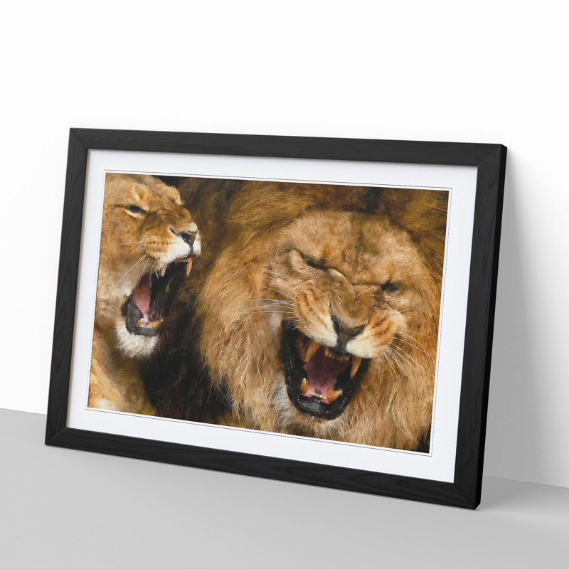 Two Lions - Framed Print, 36cm H x 48cm W x 2cm D, Black Framed