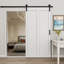 Porte de grange Stellar Win-71200382