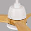 Ventilateur de plafond chaud d'intérieur de 52 pouces avec lumières DEL à intensité variable et moteur à courant continu réversible-124372505-124372511