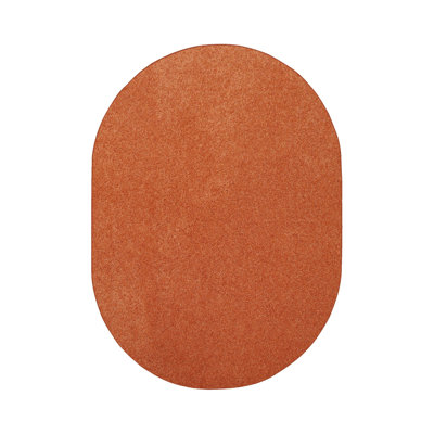 Modern Plush Pet and Kids Friendly Solid Color Orange Area Rugs, Stain & Fade Resistance, Perfect for Living Room, Dining Room, Bedroom, Playroom and Kidsroom, Event, Wedding, Amberlynn Rug