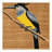 Washable Tropical Kingbird Birds Area Rug-475626891