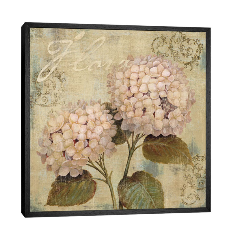 Ornament II by Daphne Brissonnet - Print on Canvas, 66.04 cm H x 66.04 cm W, Black Framed
