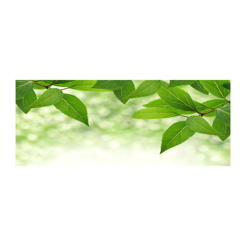 Green Leaves - No Frame Print on Canvas