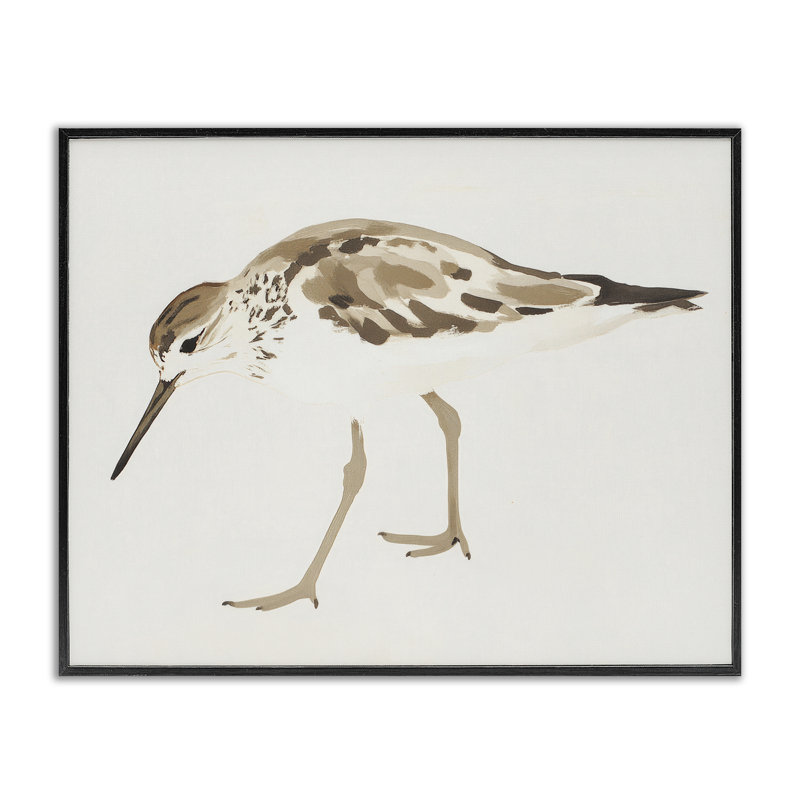 Giclée sur toile Sandpiper Shore, Giclée encadrée noir minuit, H 16 po x l 20 po
