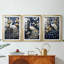 ANIMALS Series CCxxxi - impression encadrée sur mesure de qualité supérieure - 3 pièces-1194858323