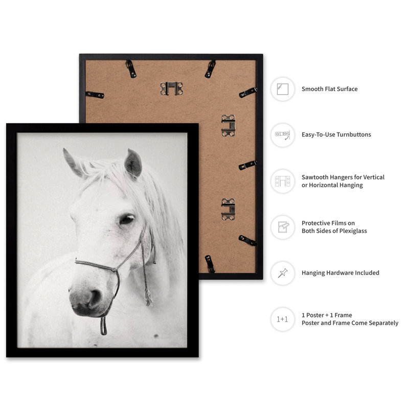 Portrait de cheval blanc, 12"H x 16"W, Poster, Black Framed