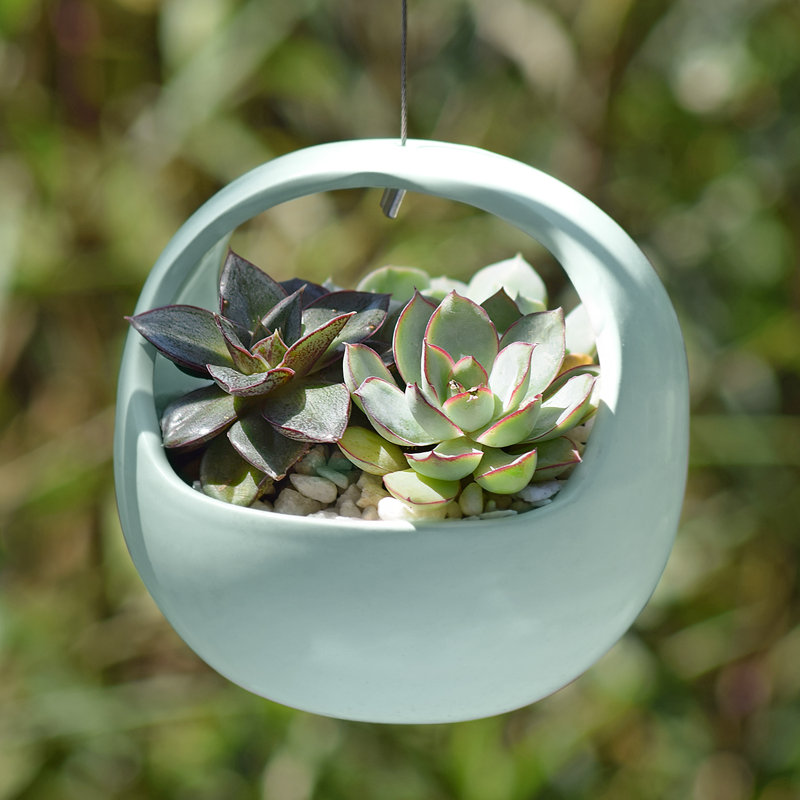 Pot à fleurs suspendu en céramique Tarvo, Menthe