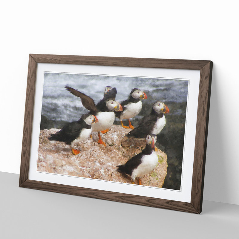 Atlantic Puffin Birds Vol.3 - Picture Frame Graphic Art, 48cm H x 65cm W x 2cm D, Walnut Framed