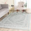 Tapis performance oriental Olius-33392293