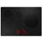 Induction Cooktop with 4 Elements-930748518