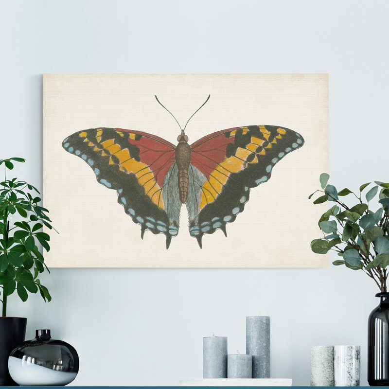« Beautiful Butterfly IV », reproduction d’art sur toile tendue, H 48 po x l 32 po x P 1 po