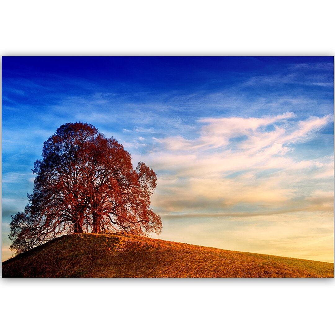 Leinwandbild Baum auf dem Hügel