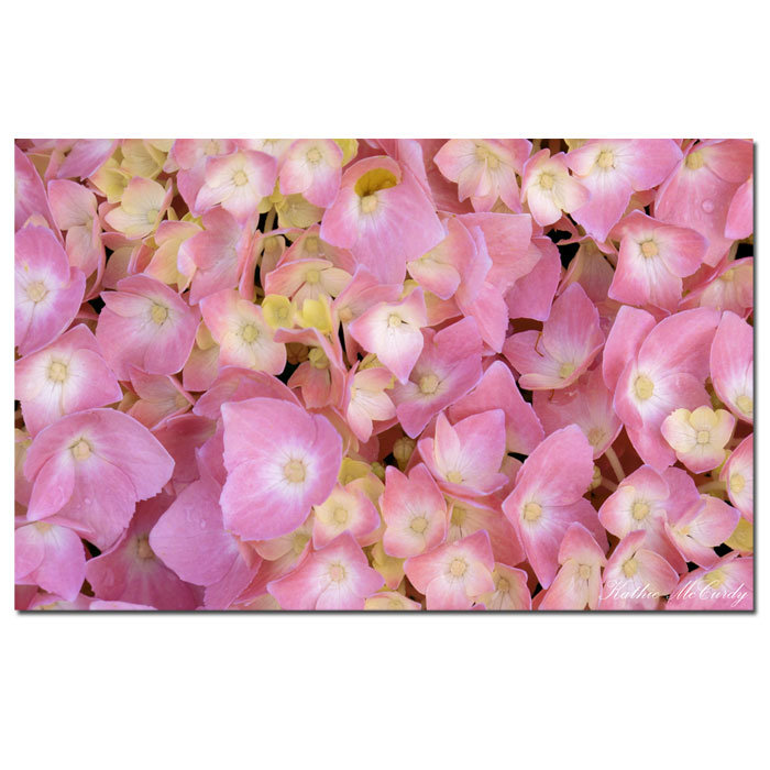 Pink Hydrangea Contemporary Canvas Art Print with Wooden Frame