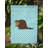 Double Sided 15'' H x 11'' W Polyester Animal Garden Flag-31790980