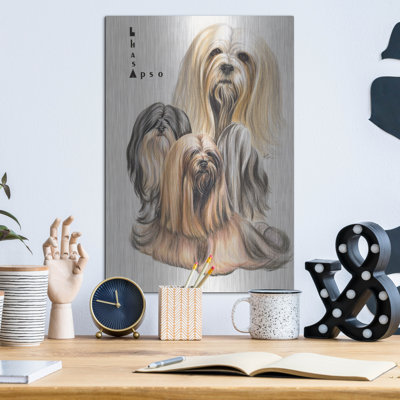" Lhasa Apso " by Barbara Keith