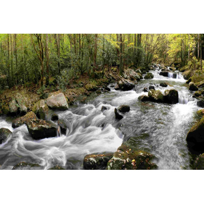 «Up The Creek Panorama»