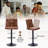 Swivel Adjustable Height Bar Stool with Backs & Wide Seat Cushion (Set of 2)-907097210-907097222
