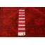 Tapis rouge unique noué à la main 9 pi 1 po x 12 pi 2 po