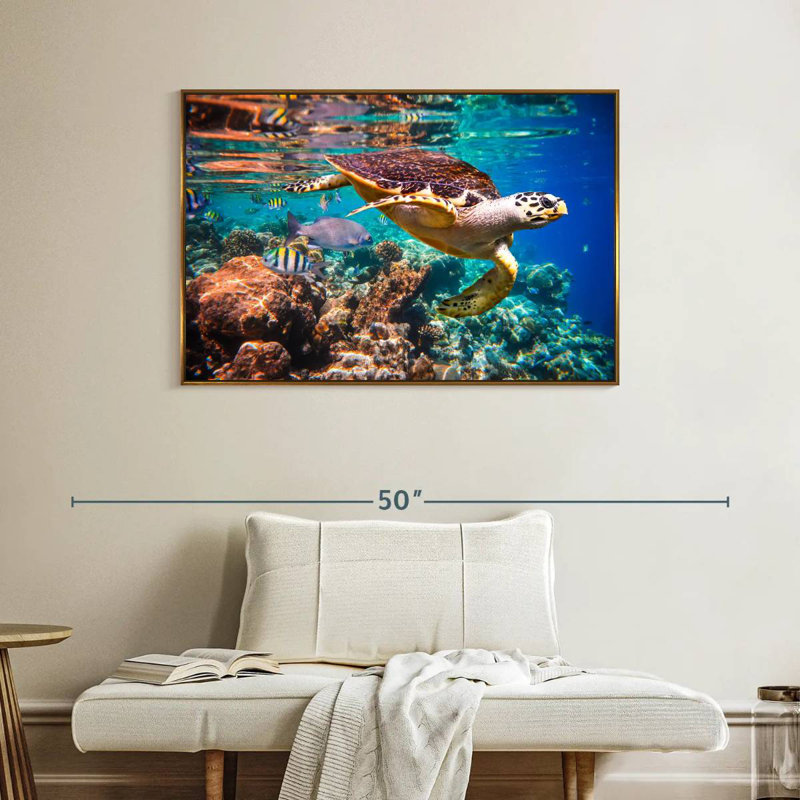 Vie marine vive, Cadre flottant doré, 40 po x 27 po