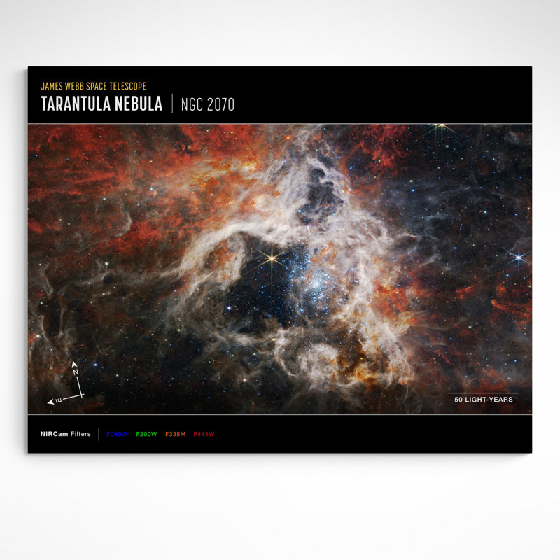NASA James Webb Space Telescope - Tarantula Nebula Compass - Print on Canvas, 81cm H x 117cm W x 4cm D