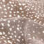 Louis Animal Print Hand-Knotted Wool/Cotton Ivory Area Rug-58549935-126288449