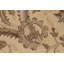Baccio Wool Oriental Rug